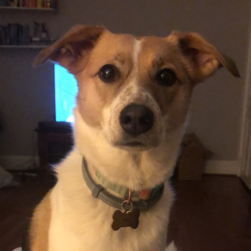 Meet your Posher, Kaitlin